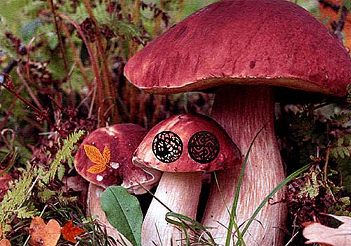 Волшебное Приключение в Осеннем Лесу