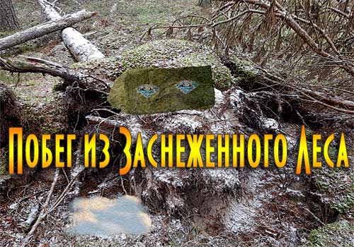 Побег из заснеженного леса
